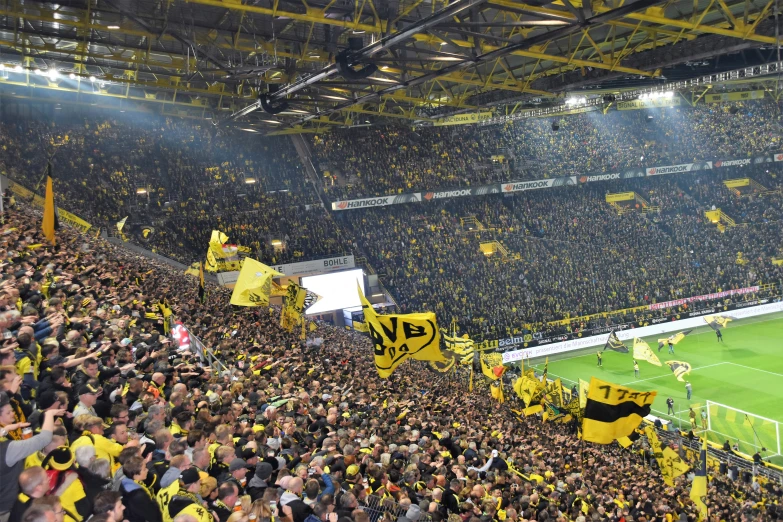 people in stadium with flags and banners flying