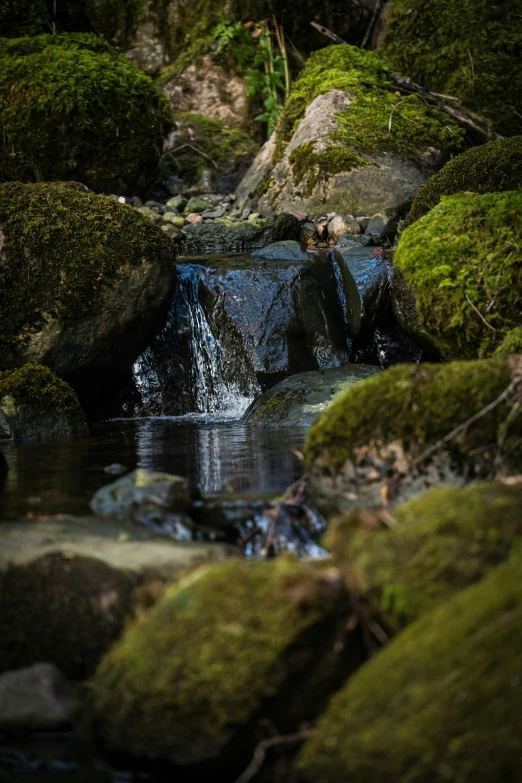 a stream with mossy rocks near it