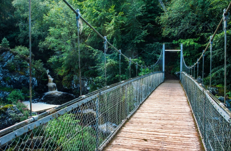 an image of a bridge in the woods