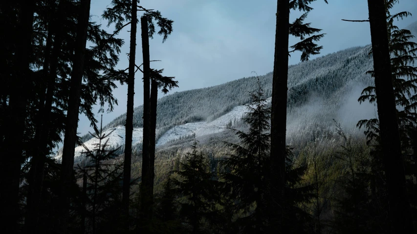 there is snow on the mountain in the middle of the night