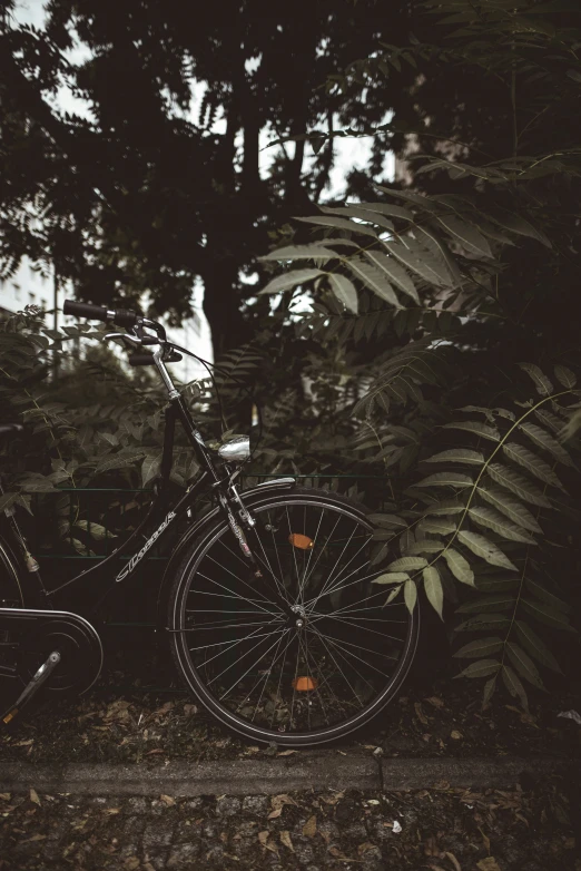 a bike parked next to a couple of trees