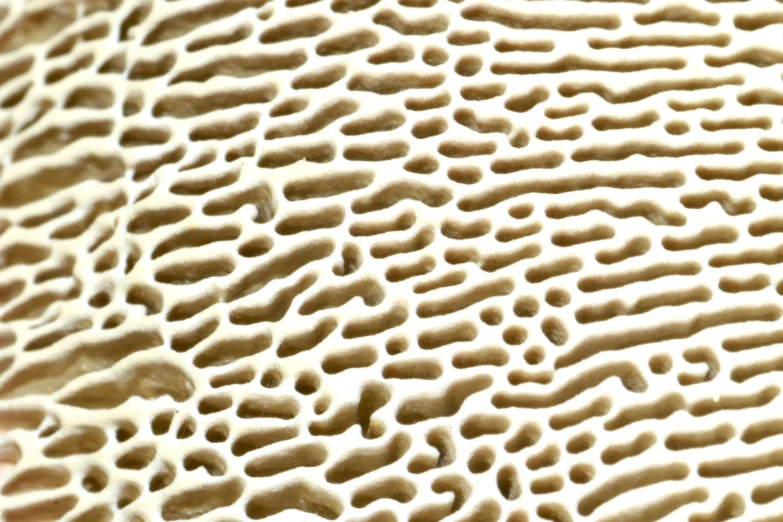 a brown pattern on top of some sand