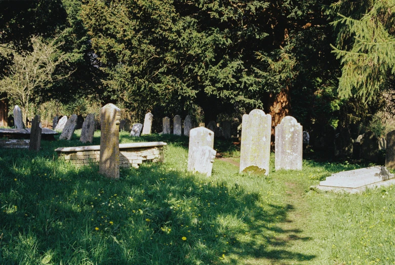 many headstones sit in a grass field under trees