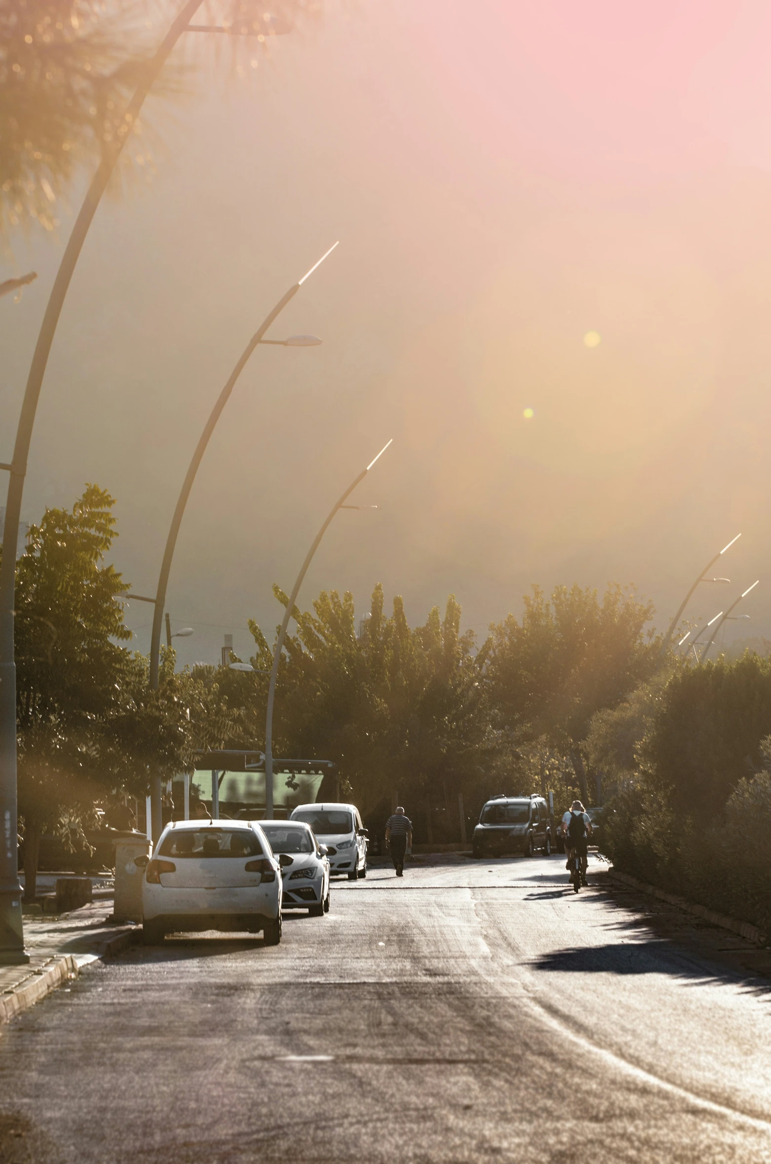 several vehicles on a road near trees and sunlight