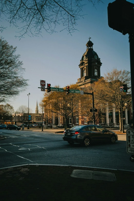 cars on street near a tree and an intersection