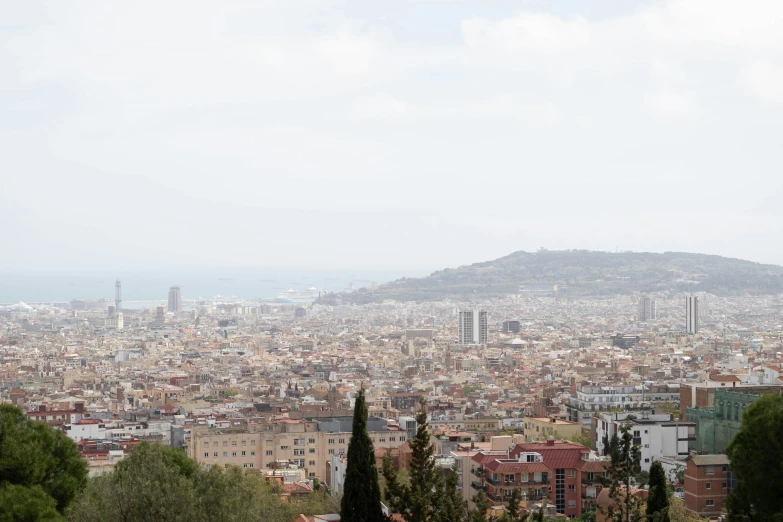 view from atop a hill with large buildings