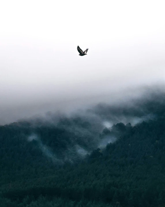 a bird flying in the sky over green mountains