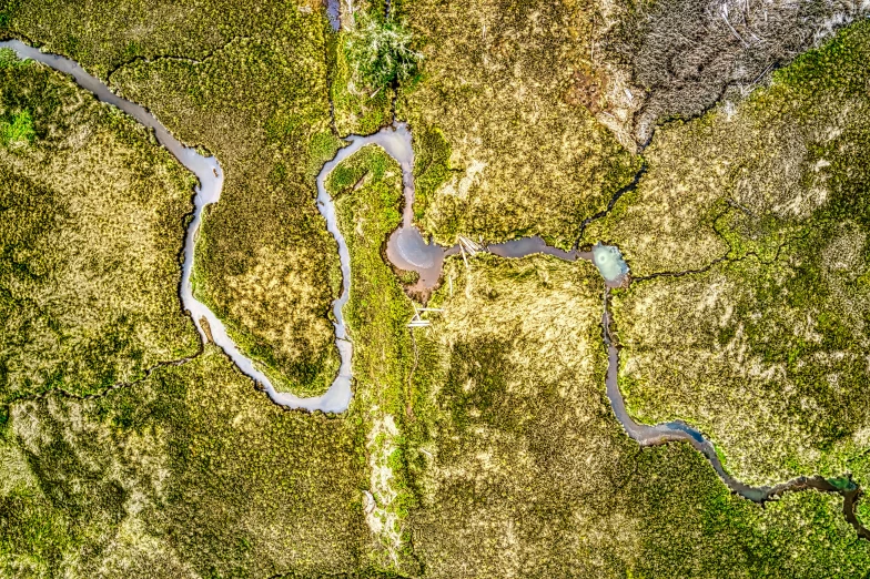 a landscape image shows a winding river and riverbeds