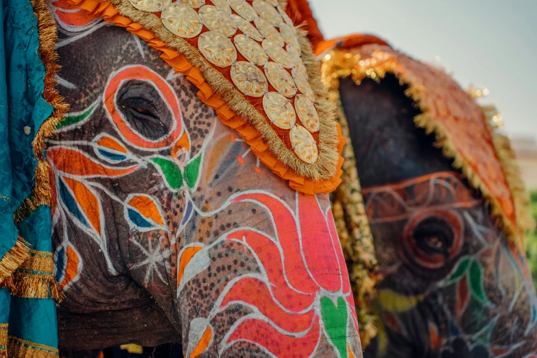 two colorfully decorated elephants with intricate design on their bodies