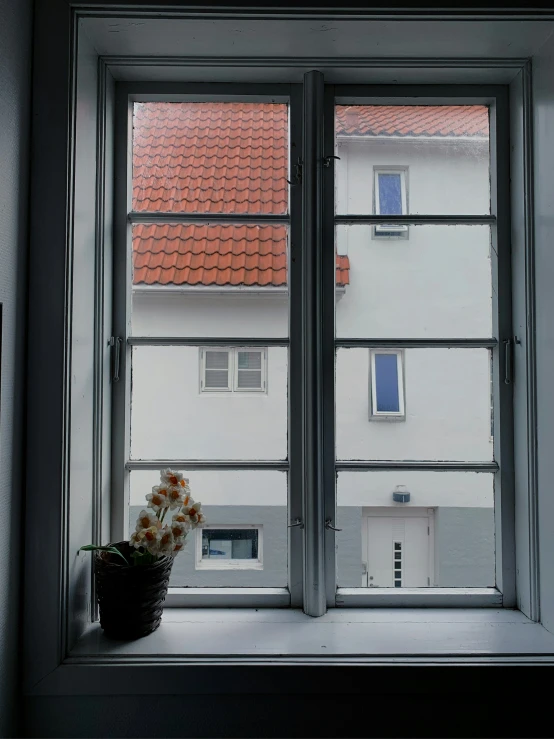 a flower in front of a window with panes