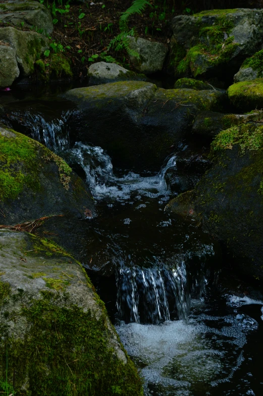 a small stream of water running between mossy rocks