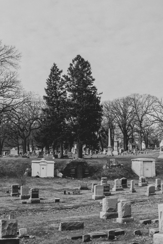 a small cemetery sits in a park full of headstones