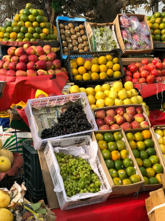 a market is full of fresh fruit and vegetables