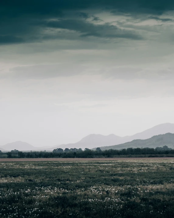 the view of some mountains in the distance and a field