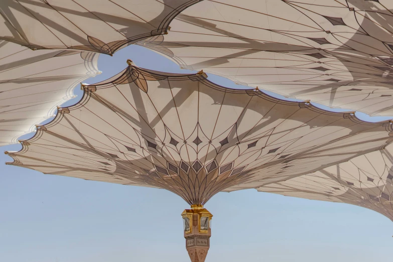 several open umbrellas on the ground under blue skies