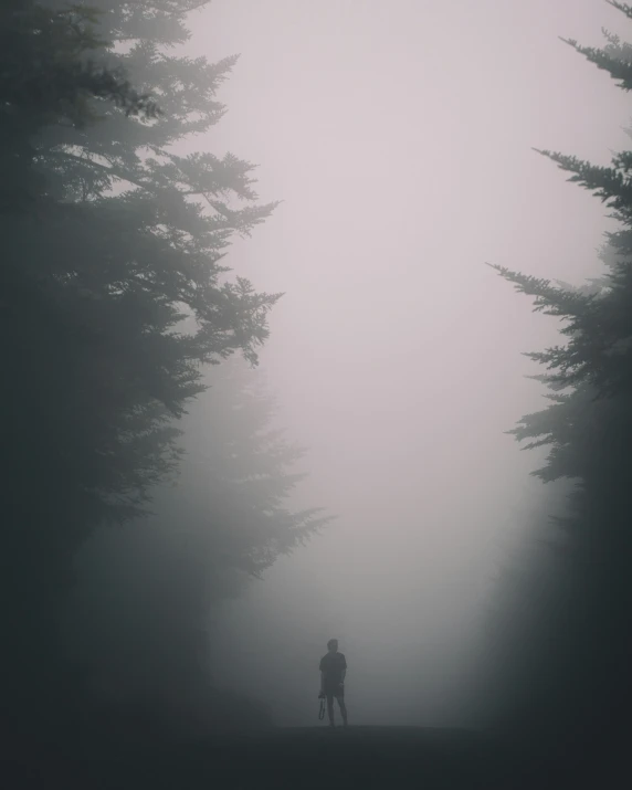 man in misty fog with tall pine trees