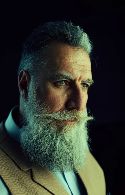 a white - haired man with a grey beard and brown suit is looking into the distance