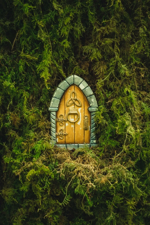 there is a door in the middle of some moss