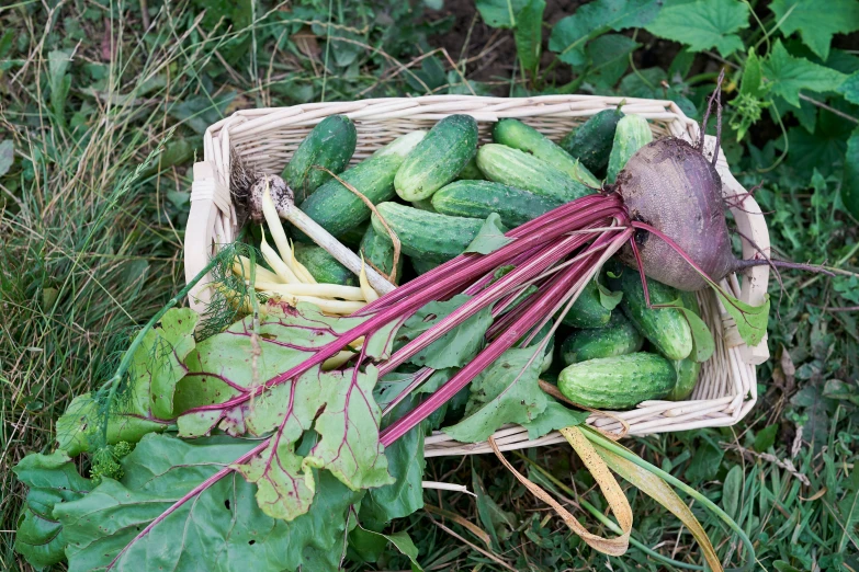 there are many different fruits and vegetables in this basket