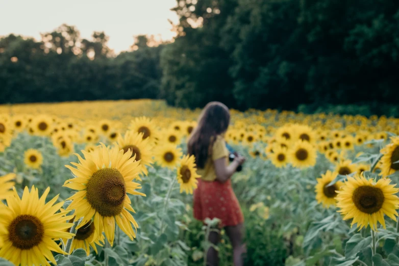 a woman with long hair stands in front of a field of sunflowers