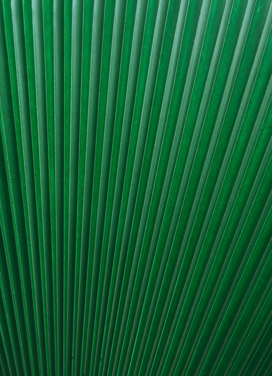 green and brown textured background with long, thin lines