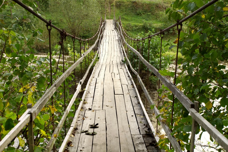 a wooden bridge hanging above a lush green forest