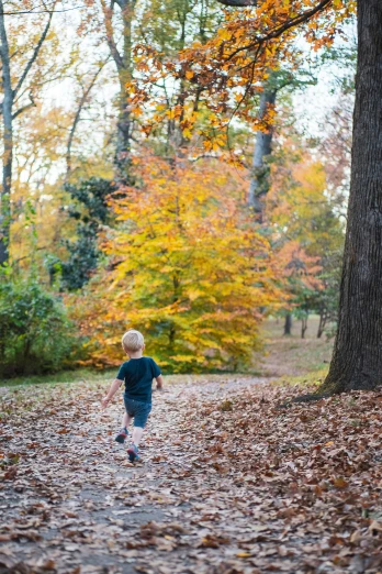 small boy running through a wooded path in autumn