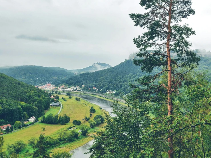 the trees and hill are next to a river