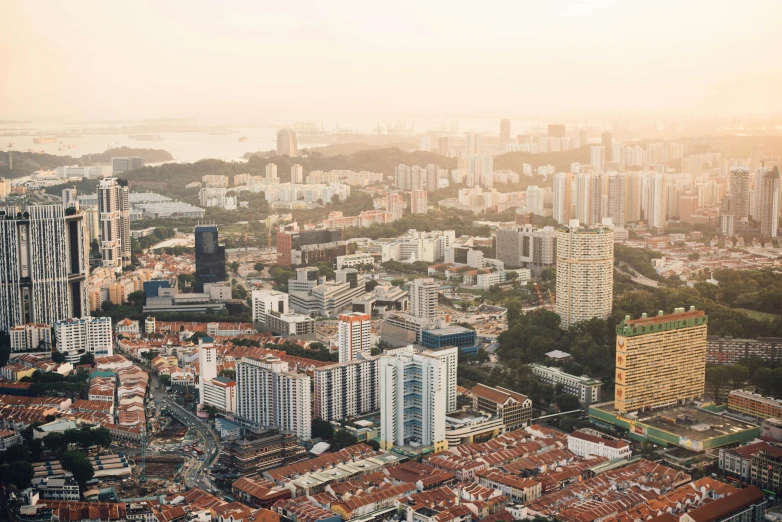 the view of city from above in the daytime