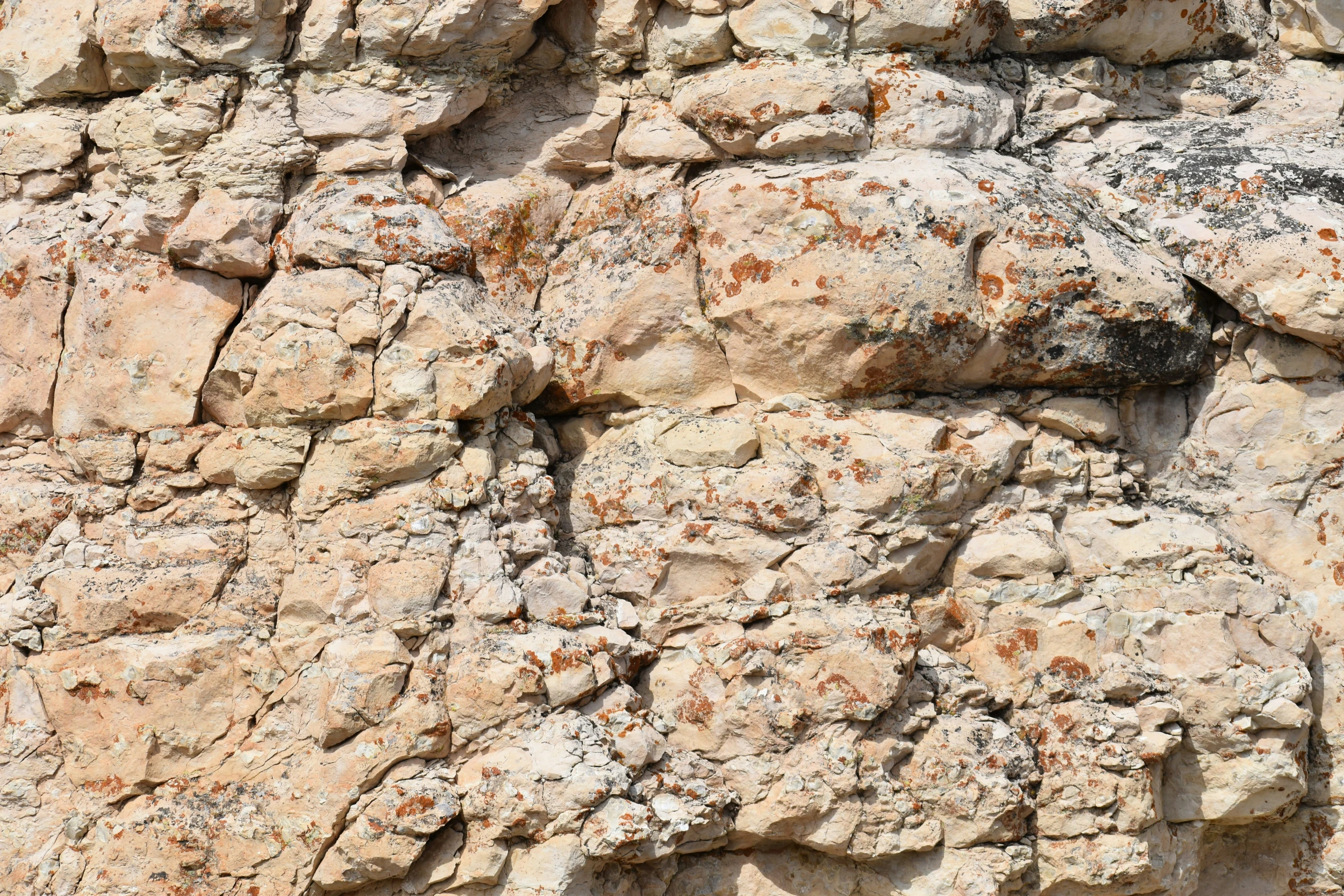 a bird perched on top of a rock wall