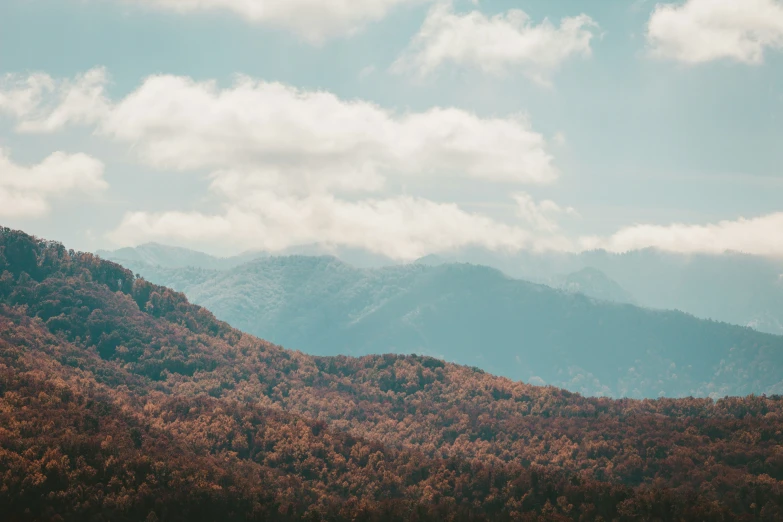 there is a horse standing on a mountain side