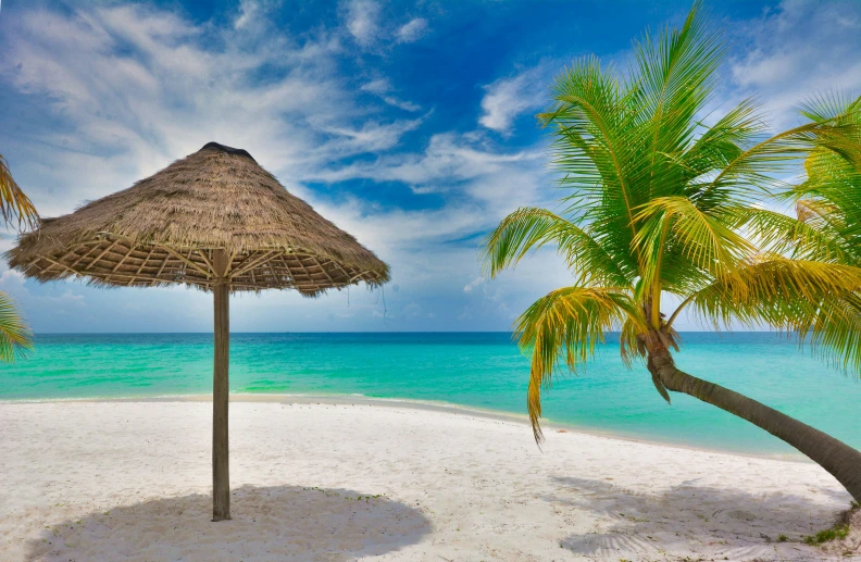 the beach has two umbrellas on it and is under palm trees