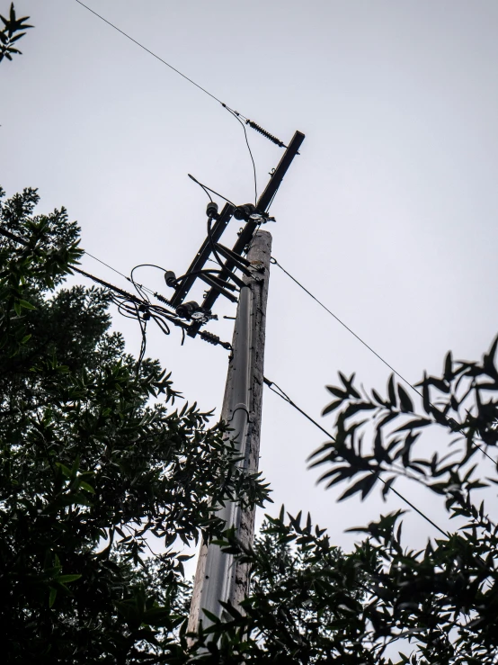 power lines and a telephone pole, seen from a distance