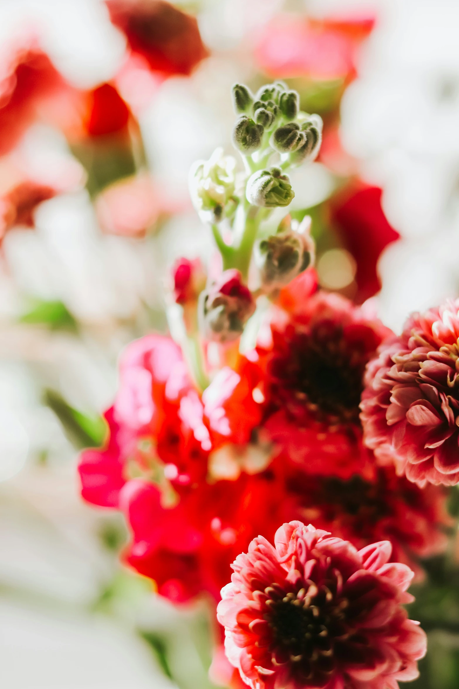 the red and pink flowers are in a vase