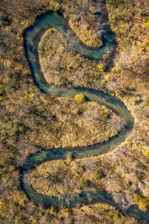 a stream in the middle of a grassy area