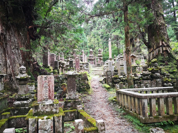 an ancient cemetery is located in the woods