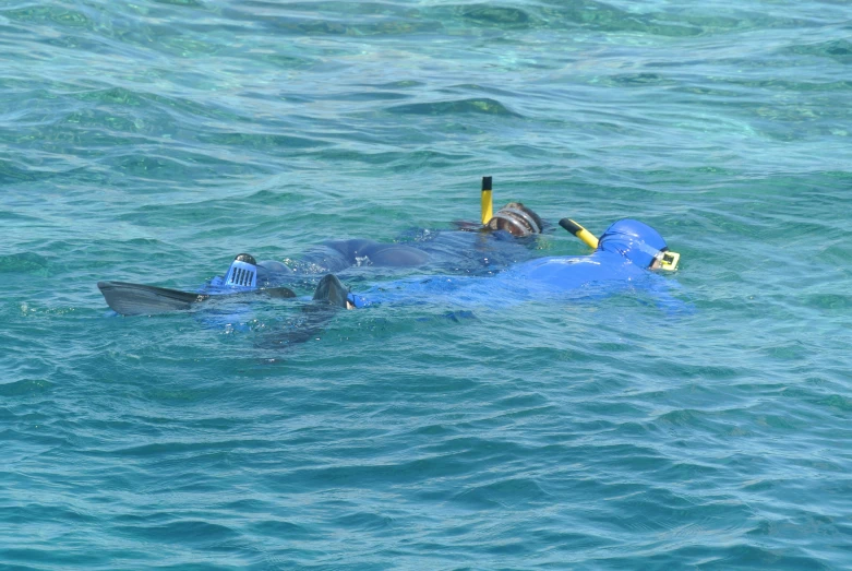 a person in a body suit in a water area