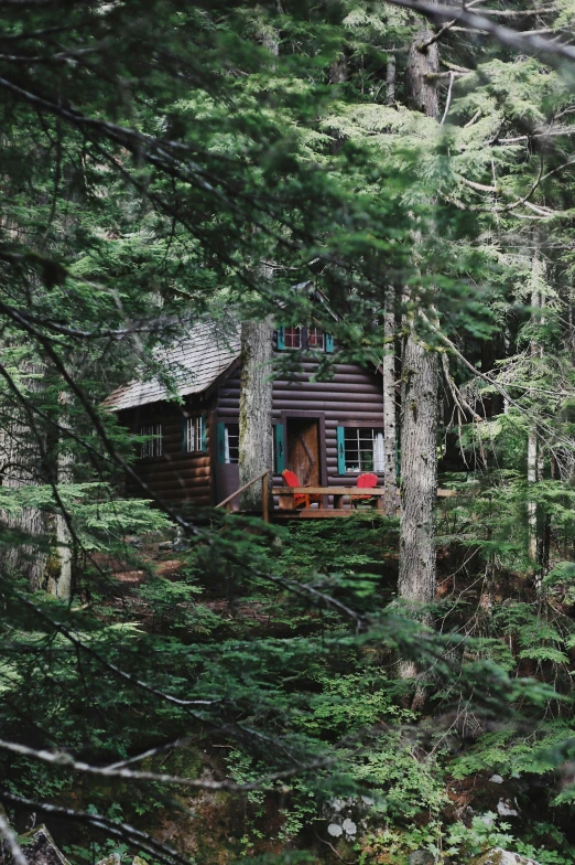 a tiny log house nestled in the woods