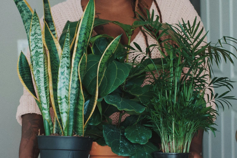 a young woman holding some potted plants in her hands