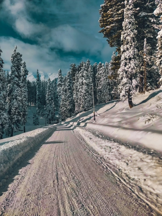 a road with trees and snow on it that is very deep in the middle