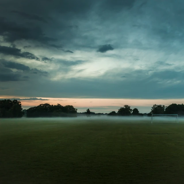 several trees and people in the distance are seen through the fog