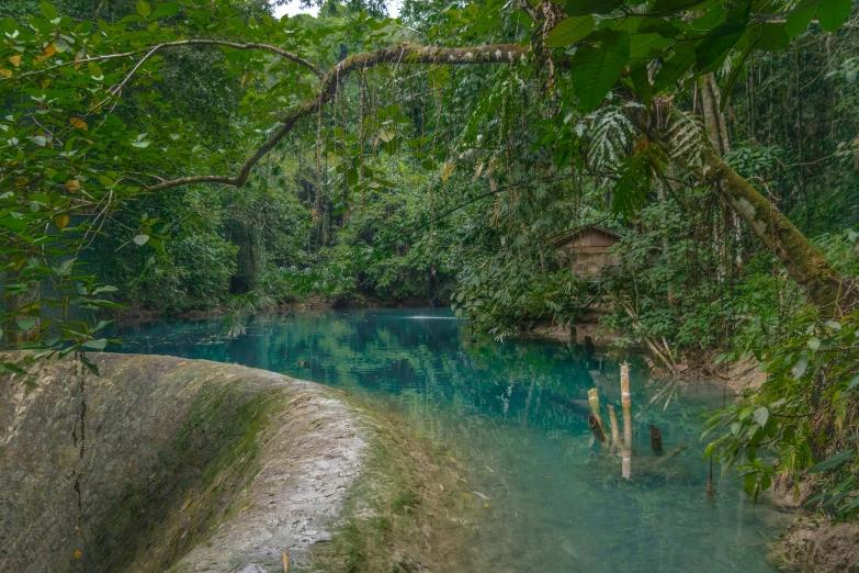 the blue water has many algae in it