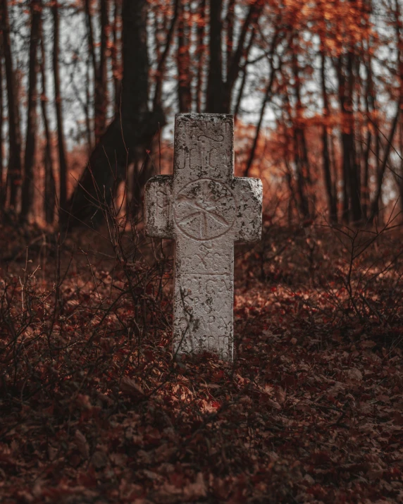 a creepy cross is standing in a leaf - filled area