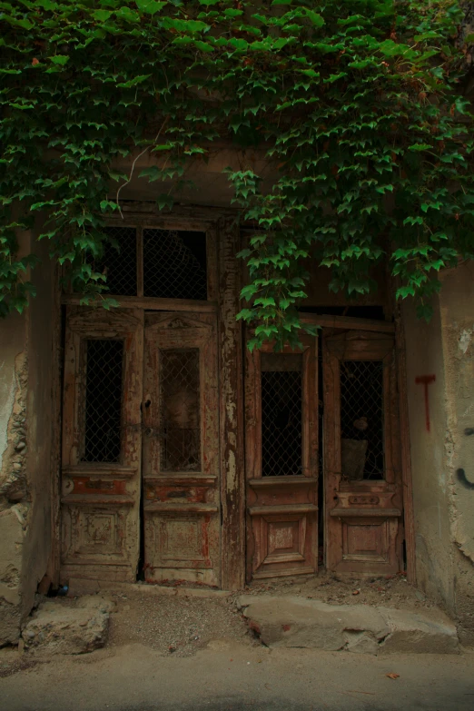 a wooden door surrounded by vines growing over it