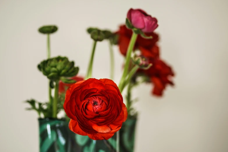 red roses in a green vase with long stems