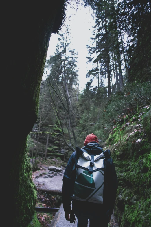 a person hiking in the woods alone