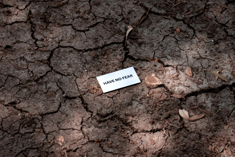 some pieces of white paper that are on some dirt