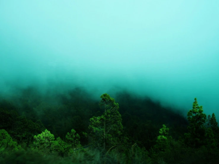 the view of clouds and trees under them on a misty day