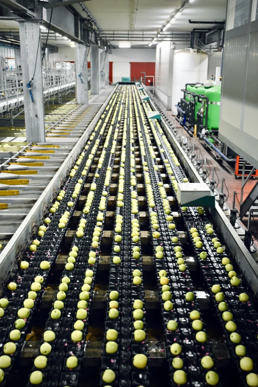 a large room that has some food on the conveyor belt