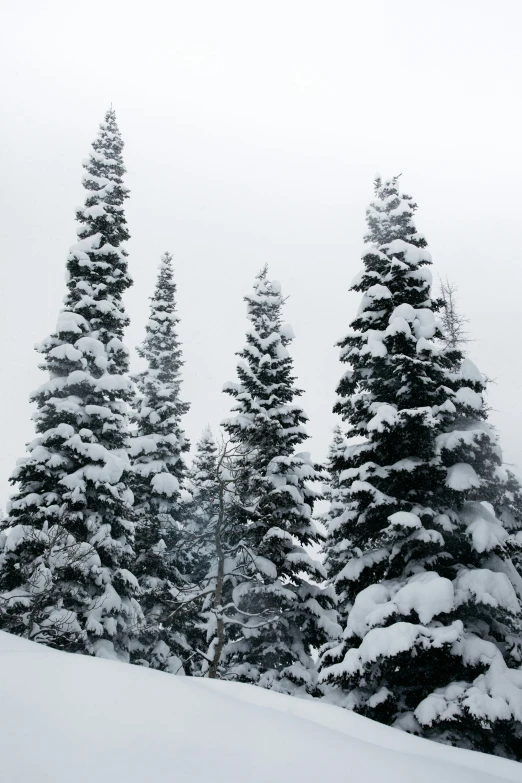 there is a snowboarder that is standing on the snowy slope